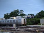 SIRT 135